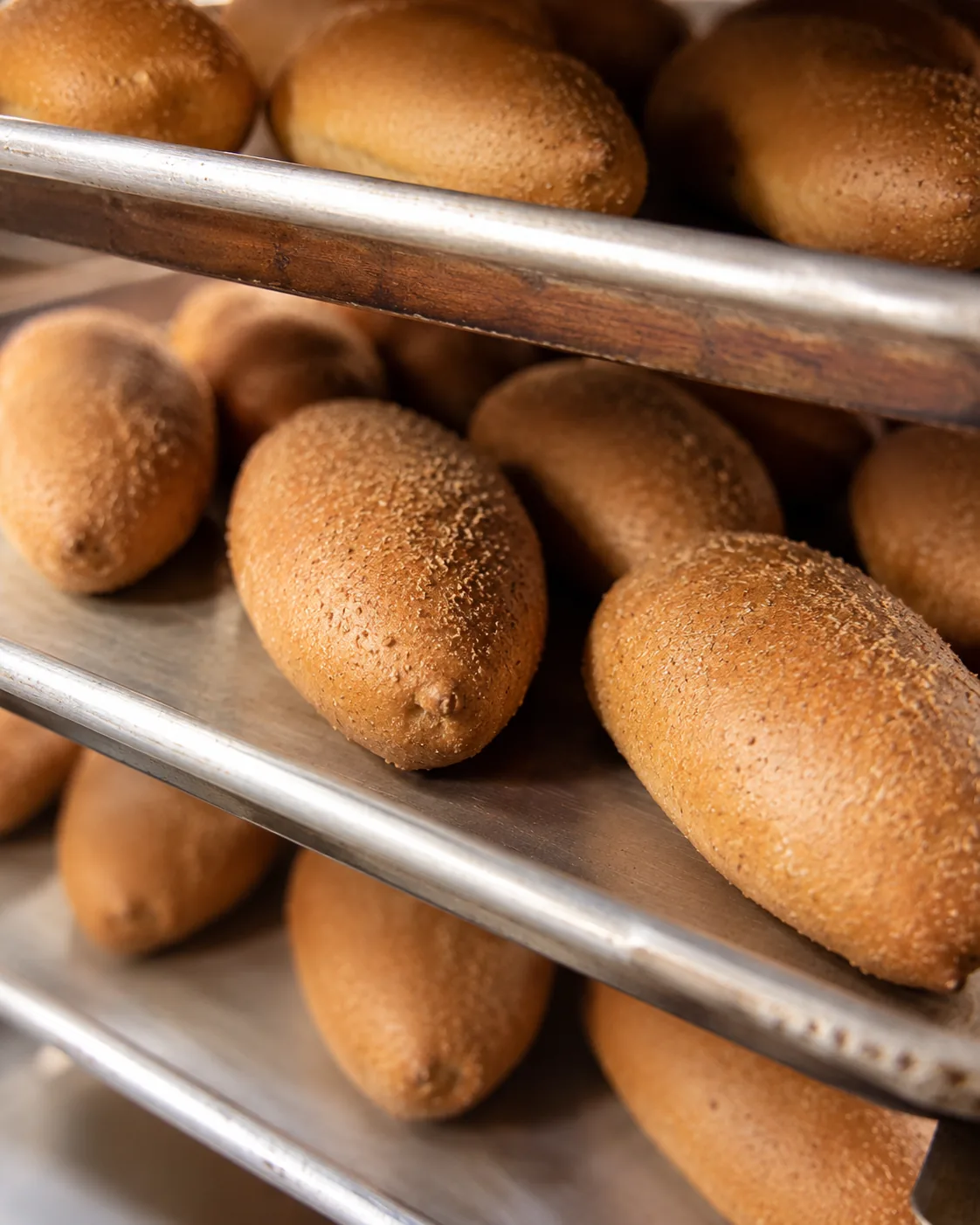 Whole-wheat rolls — production trays